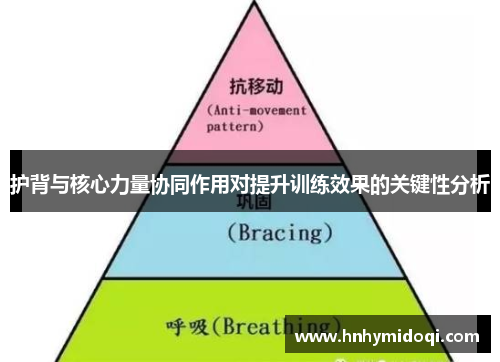 护背与核心力量协同作用对提升训练效果的关键性分析